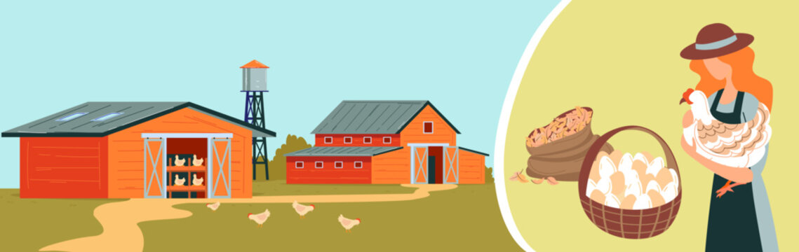 Farm chicken, girl holding chicken, basket eggs, poultry farm buildings countryside , design, cartoon style vector illustration.