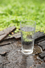 Glass of fresh water on wooden stump in green grass outdoors