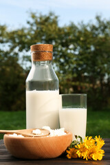 Tasty fresh milk and cottage cheese on wooden table outdoors