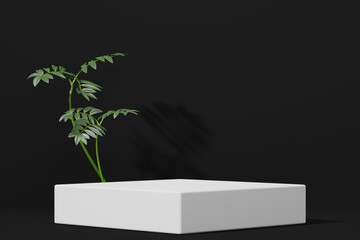 black Empty podium Blank product shelf standing backdrop. 3D rendering.