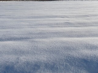 snow and sand dunes create a unique sight