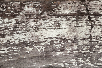 old rustic wood texture background