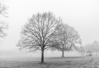 London, United Kingdom, 11 December 2022:  Thick fog in the early morning as people walking, jogger run in London Park
