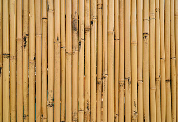 uniform background of pile of bamboo sticks. brown texture