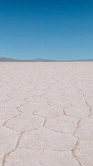 Fototapeta premium Salinas Grandes, Argentina