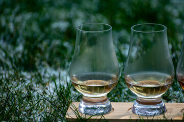 Glasses of ice cold Scotch single malt or blended whisky on white frosted green grass, winter in Scotland