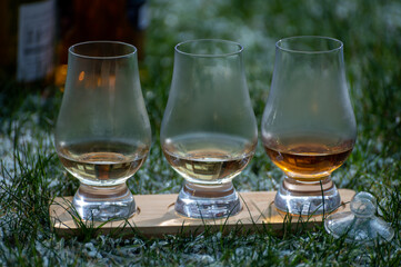Glasses of ice cold Scotch single malt or blended whisky on white frosted green grass, winter in...
