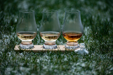 Glasses of ice cold Scotch single malt or blended whisky on white frosted green grass, winter in Scotland