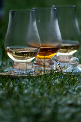 Glasses of ice cold Scotch single malt or blended whisky on white frosted green grass, winter in Scotland