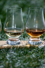 Glasses of ice cold Scotch single malt or blended whisky on white frosted green grass, winter in Scotland