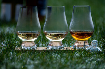 Glasses of ice cold Scotch single malt or blended whisky on white frosted green grass, winter in...
