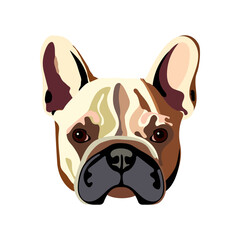 French bulldog portrait. Hand drawn vector illustration.