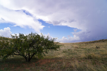 Arizona Ranch