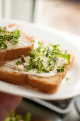 sandwich with micro-green cross-salad sprouts on a white plate in vertical format