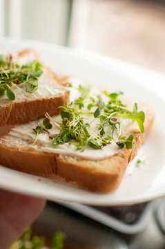 sandwich with micro-green cross-salad sprouts on a white plate in vertical format