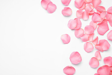Beautiful pink rose flower petals on white background, top view - Powered by Adobe
