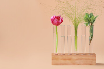 Test tubes with different plants in wooden stand on beige background. Space for text