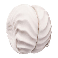 Delicious zephyr marshmallow, isolated on white background