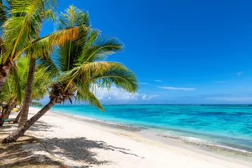 Foto op Plexiglas Le Morne, Mauritius Exotic coral beach with palm trees and and tropical sea in Mauritius island. Summer vacation and tropical beach concept. 