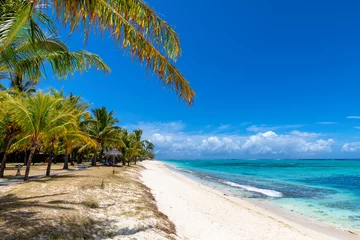 Poster Le Morne, Maurice Plage de corail exotique avec palmiers et mer tropicale sur l& 39 île Maurice. Vacances d& 39 été et concept de plage tropicale.
