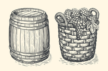 Basket full of grapes freshly picked from vineyard, wooden wine barrel. Winery sketch. Vintage vector illustration