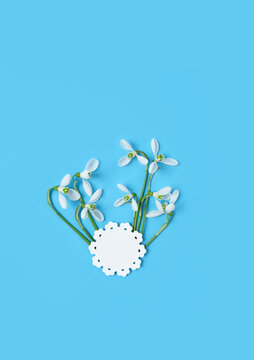 snowdrops flowers and paper card on abstract blue background. spring season. romantic gentle nature image. hello spring, 8 march, Mother's day concept. flat lay. template for design