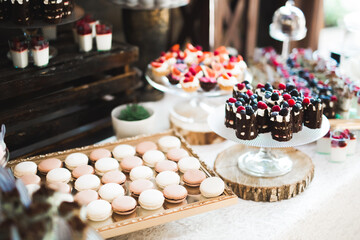 French sweet colorful macarons background, close up