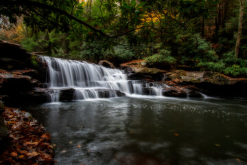 Fototapeta na wymiar Stream with waterfall in woods