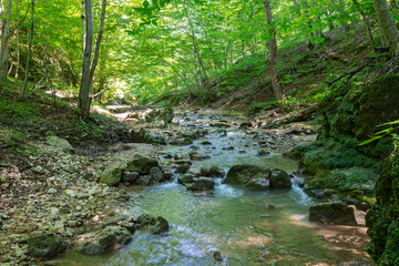 mountain river, sources in the canyon of the stone bed, panorama of the area,