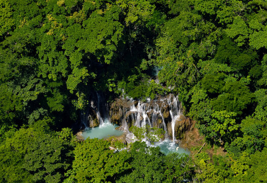 Waterfalls cascade through the vegetation downstream of Cueva de Villa Luz in Tabasco, Mexico.; Tabasco State, Mexico.