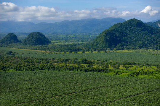 Banana plantations and outcrops of limestone around Cueva de Villa Luz in Tabasco, Mexico.; Tabasco State, Mexico.
