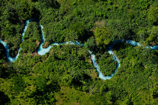 A milky, blue sulphurous river flows through the vegetation outside Cueva de Villa Luz in Tabasco, Mexico.; Tabasco State, Mexico.