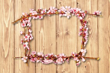 Pink spring flowers branches  frame