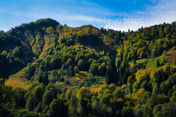 Fototapeta premium Mountain view at karagol ,Artvin, Turkey