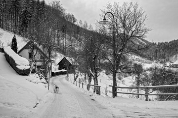 Snowy road shortly before Christmas in Kirchenlandl . Styria . Austria . Europe