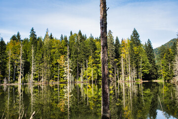 Obraz premium Lake view at Karagol,Artvin,Turkey