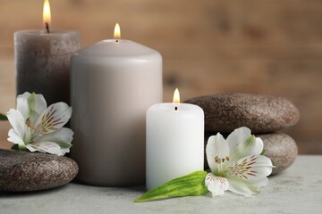 Fototapeta na wymiar Beautiful composition with burning candles, spa stones and flowers on light grey table, closeup