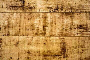 texture old tree. wood surface. old wood planks background