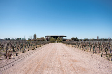 Cruzat winery in Mendoza, among the vineyards on a sunny day.