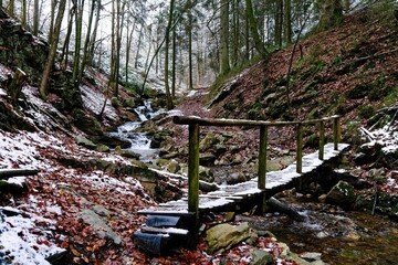 Eifel - Hohes Venn - Winter Impressionen