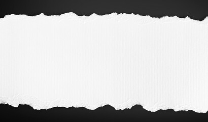 White paper torn piece on black background. Dirty wrinkled glued paper poster texture