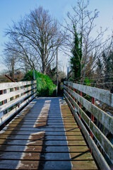 wooden bridge in the park