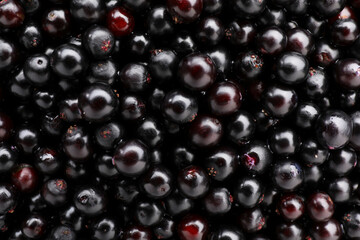Black elderberries (Sambucus) as background, top view