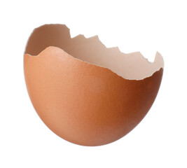 Shell of egg isolated on white background