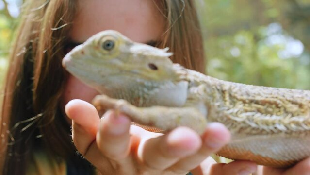 Iguana, girl and wildlife zoo for learning, fun excursion and education in nature. Happy, young and excited teenager holding exotic reptile, lizard and animal in ecosystem, petting zoo and biology