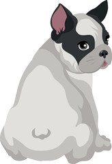 White french bulldog with a black mask on his muzzle