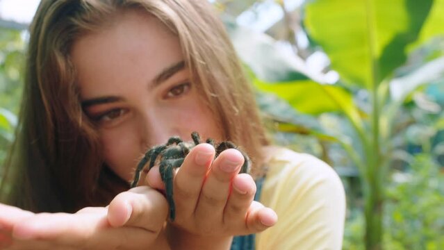 Hands, spider and children with a girl holding an arachnid outdoor alone in nature or at the zoo. Kids, pet and wildlife with a tarantula on the hand of a female child outside in a park during summer