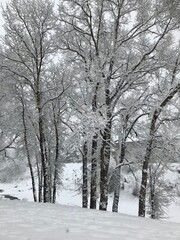 Avon, Colorado, USA