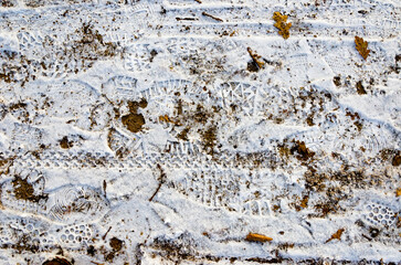 Diverse Spuren im Schnee