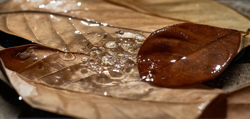 Autumn leaves in the water